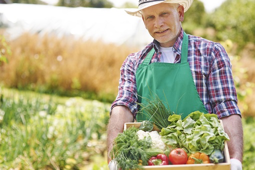 Consumidores cada vez mais exigentes, qual o papel do Agrodistribuidor para garantia da qualidade dos alimentos?