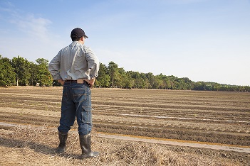 Veja como um CRM pode aumentar a produtividade das propriedades rurais de seus clientes
